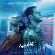What Other People Say (feat. Sam Fischer)(Sam Feldt Remix)}