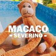 Seremos Eu e Você}