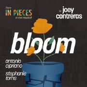 Capa do Single/EP "Bloom (feat. Stephanie Torns) [From "In Pieces: A New Musical (Highlights) (Deluxe Edition)"]", de Antonio Cipriano