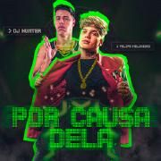 Por Causa Dela (part. DJ Hunter)