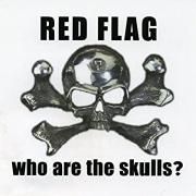 Who Are The Skulls?