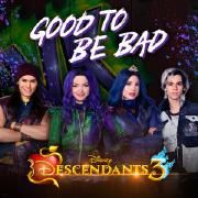 Good to be Bad