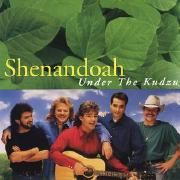 Under The Kudzu