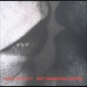 Soft Dangerous Shores