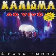 É Puro Forrró - Vol. 4