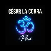 SINESTESIA EMOCIONAL