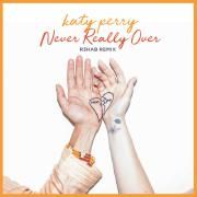 Never Really Over (R3HAB Remix)}