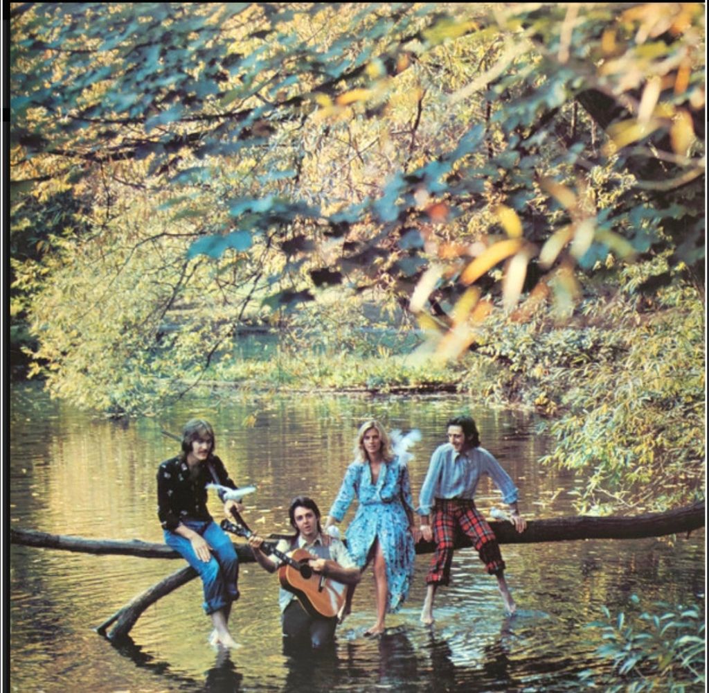 Wild Life: Amazon.com.br: CD e Vinil