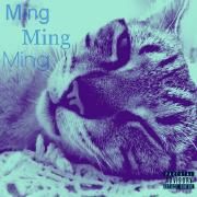 Ming's Tape}