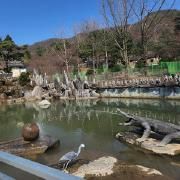 salamander pond}