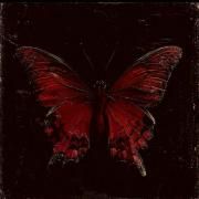 Capa do Álbum "The Stages of My Butterflies", de VITT MSX