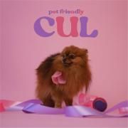 Portada de Sencillo/EP "Cul", de Pet Friendly