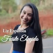 Fuiste Elegido