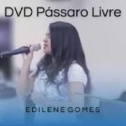 DVD Pássaro Livre}