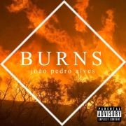 Burns}