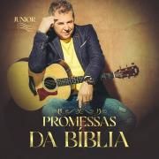 Promessas da Bíblia}