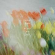 Dummy Flower}