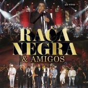 Raça Negra & Amigos (Ao Vivo)