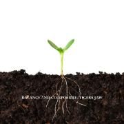 Balance And Composure\Tigers Jaw