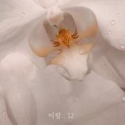 이랑.12}