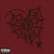 LOVE IS WEB (AND I'M TRAPPED IN IT)}