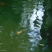 te quiero naranjita}