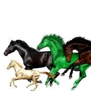 Old Town Road (remix) (feat. Billy Ray Cyrus, Young Thug & Mason Ramsey)