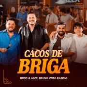 Portada de Sencillo/EP "Cacos de Briga (Ao Vivo) (part. Hugo & Alex e Enzo Rabelo)", de Bruno