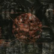 Non-Stop Violence}