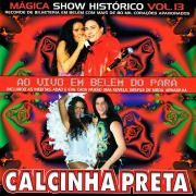 Vol. 13 (Ao Vivo Em Belém do Pará)}