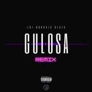 Gulosa (Remix)}