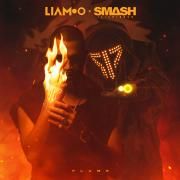 Flame (feat. LIAMOO)