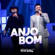 Anjo Bom }