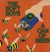 A Can Of Bees