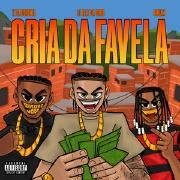 Cria de Favela (part. DJ Alle da Coro e Tz da Coronel)