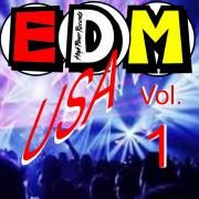 EDM USA Vol.1}