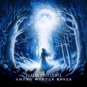 Among Winter Roses