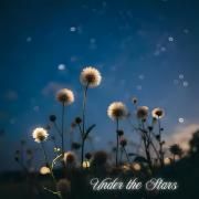 Under the Stars}