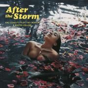 After The Storm (feat. Tyler, The Creator & Bootsy Collins)}