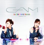 1st GAM ~Amai Yuuwaku~}