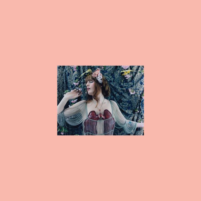 Imagem do álbum My Best Dress (Demo) do(a) artista Florence + The Machine