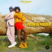 Pilon di Mudjer}