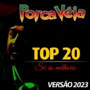 Top 20 Só As Melhores (Versão 2023)
