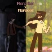 Portada de Álbum "Marchitar y Florecer", de CadetStatue