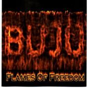 Flames Of Freedom