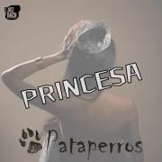 Capa do Single/EP "PRINCESA", de Banda Pataperros