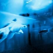 ódio (part. akuma)}