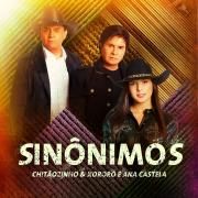 Sinônimos (part. Chitãozinho & Xororó)}