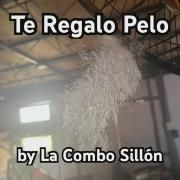 Te Regalo Pelo