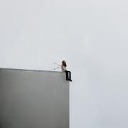 Capa do Álbum "Nosebleeds", de MisterWives